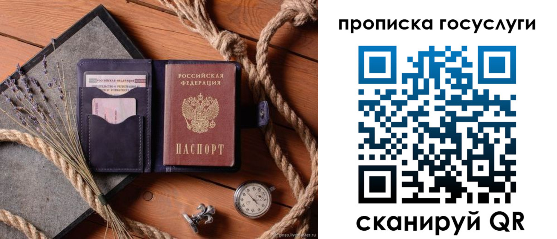 прописка поиск в Сафоново